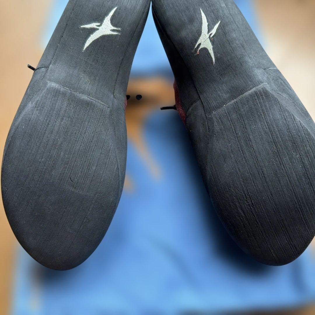 Climbing Shoes roc’teryx